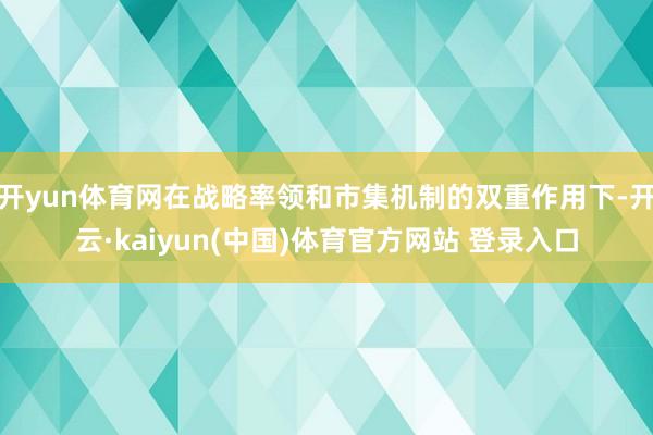 开yun体育网在战略率领和市集机制的双重作用下-开云·kaiyun(中国)体育官方网站 登录入口