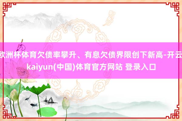 欧洲杯体育欠债率攀升、有息欠债界限创下新高-开云·kaiyun(中国)体育官方网站 登录入口