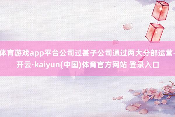 体育游戏app平台公司过甚子公司通过两大分部运营-开云·kaiyun(中国)体育官方网站 登录入口