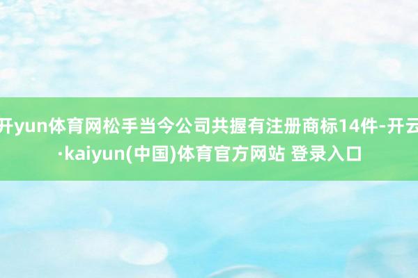 开yun体育网松手当今公司共握有注册商标14件-开云·kaiyun(中国)体育官方网站 登录入口