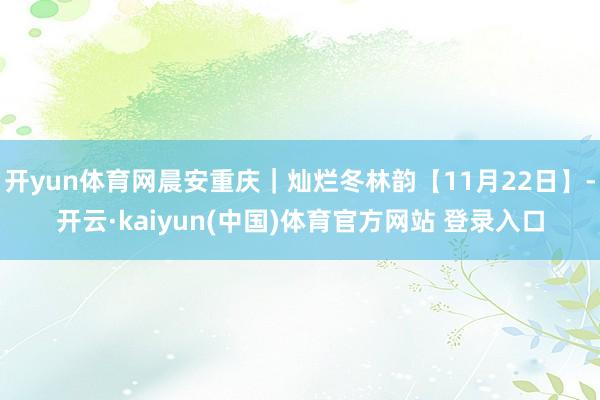 开yun体育网晨安重庆｜灿烂冬林韵【11月22日】-开云·kaiyun(中国)体育官方网站 登录入口